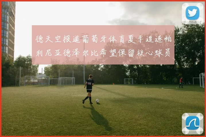 德天空报道葡萄牙体育夏季追逐帕利尼亚德泽尔比希望保留核心球员